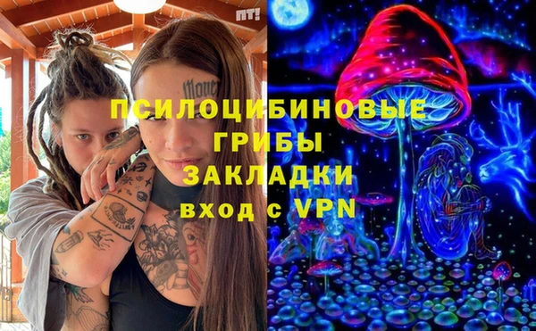 стаф Абаза
