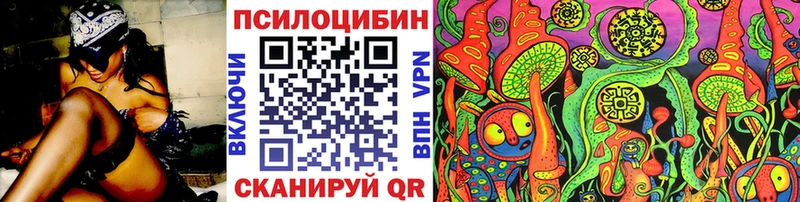 KRAKEN   Богородск  Галлюциногенные грибы Cubensis 