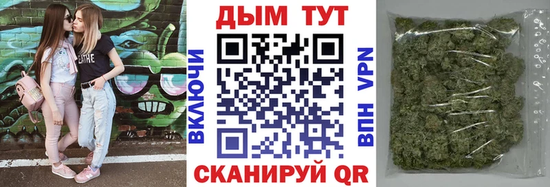 где продают   Богородск  Шишки марихуана сатива 